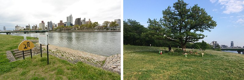 �|�v����