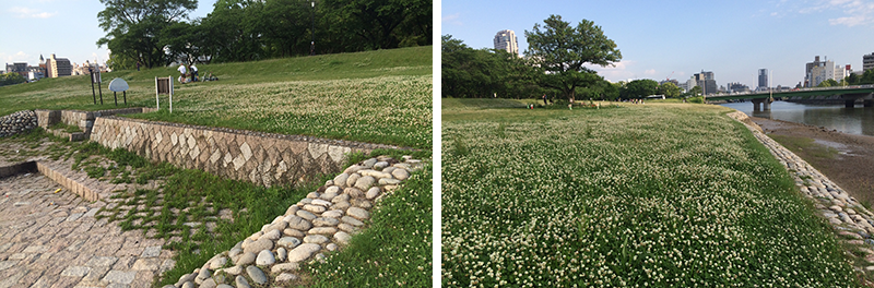 �|�v����